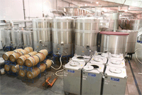 Winemaking Fermentation